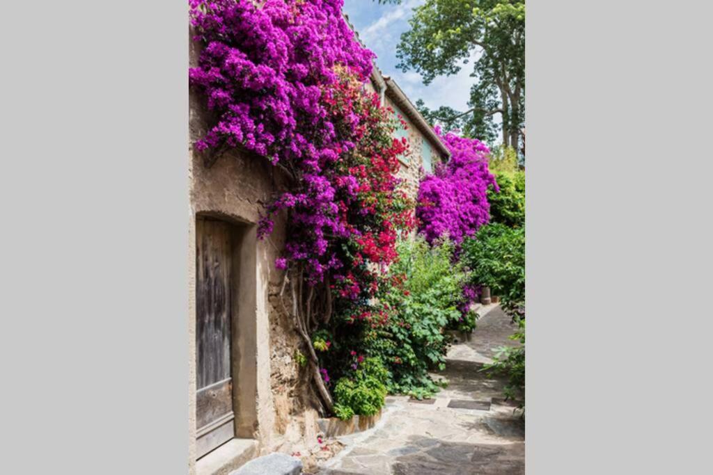 Coquet 2 Pieces Coeur Vieil Antibes Apartamento Exterior foto